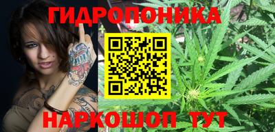 прущие крисы Беслан