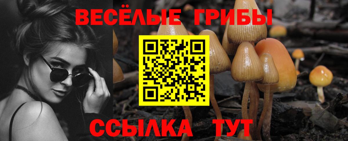 где найти наркотики  Галлюциногенные грибы мицелий  Псилоцибиновые грибы ЛСД  Вход с VPN  Каменск-Шахтинский 