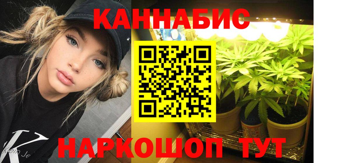 Бошки Шишки гибрид Каменск-Шахтинский